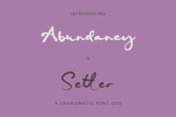 Abundancy X Setter for Web Designers