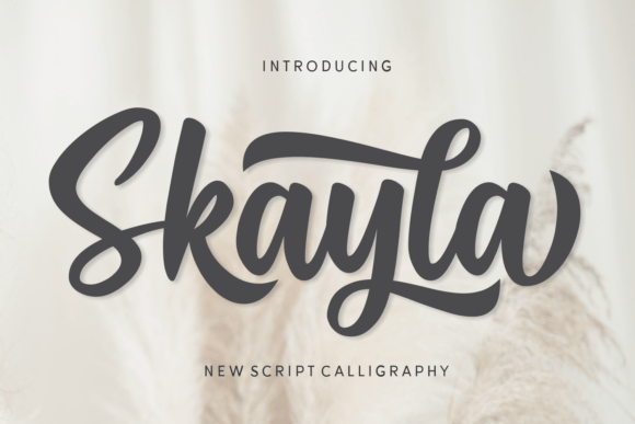 Skayla: A Script Font for Modern Web Design